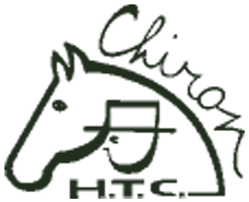logo Els Michiels - HTC Chiron